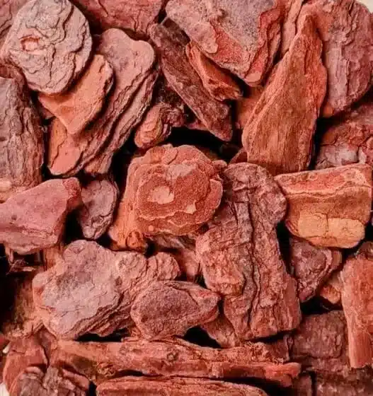 casca de pinus