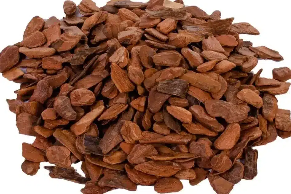 casca de pinus para orquídeas