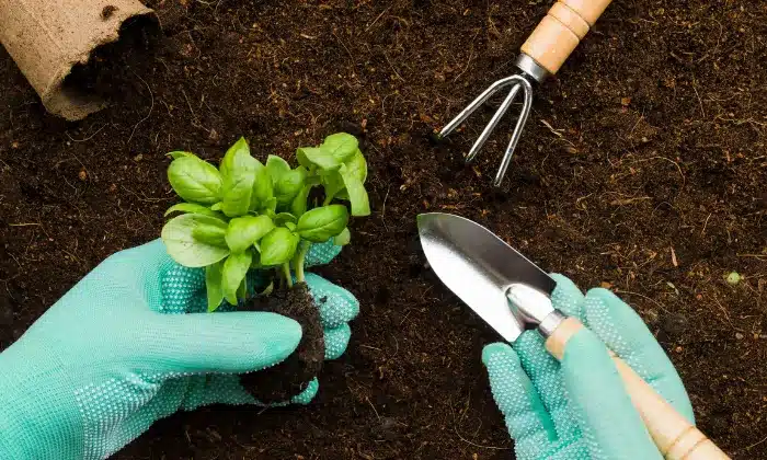 ferramentas para jardinagem