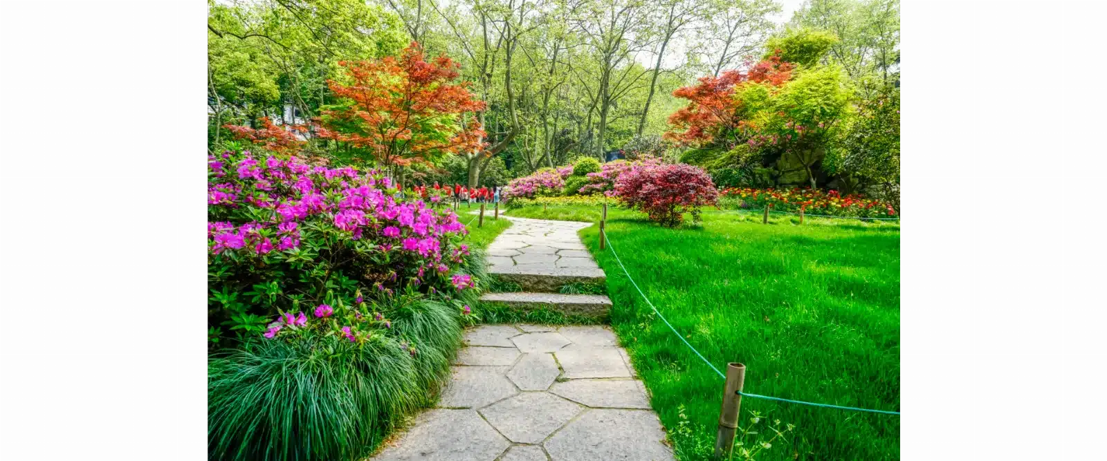 jardinagem interna