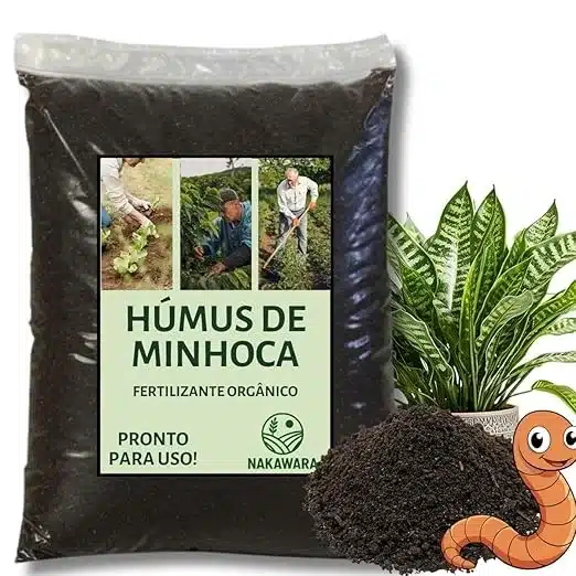 loja de plantas no Rio de Janeiro