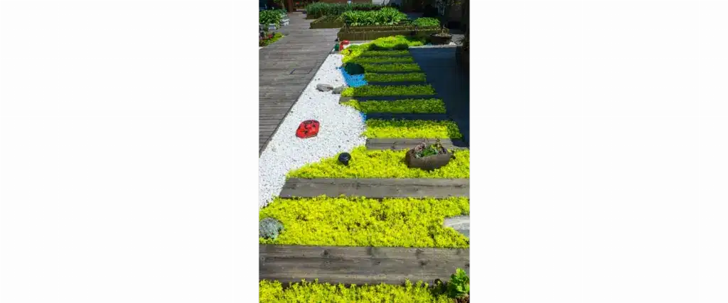 manutenção de jardins