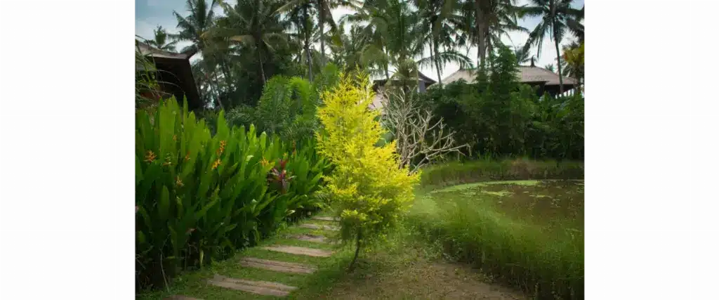 manutenção de jardins
