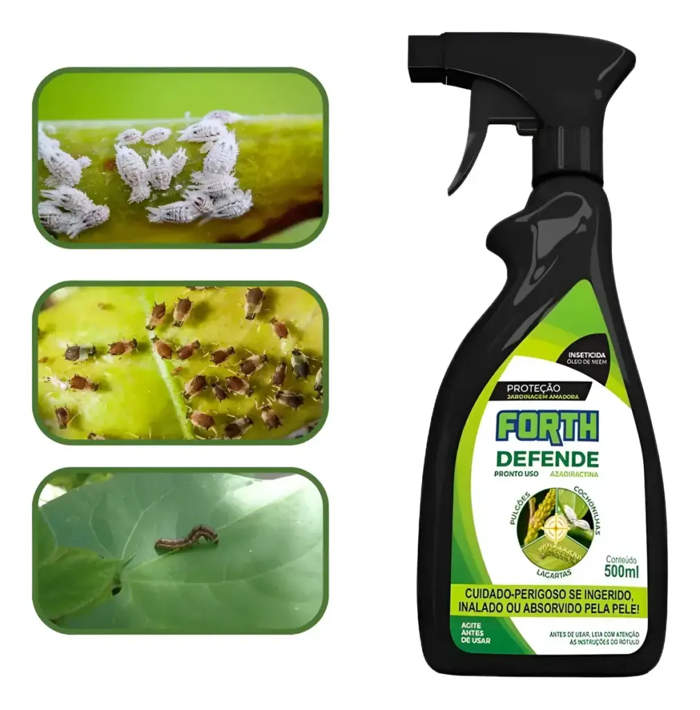 mata pulgão no Rio de Janeiro