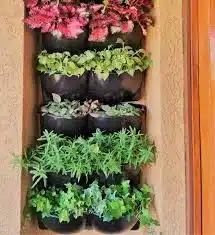mudas para jardim vertical