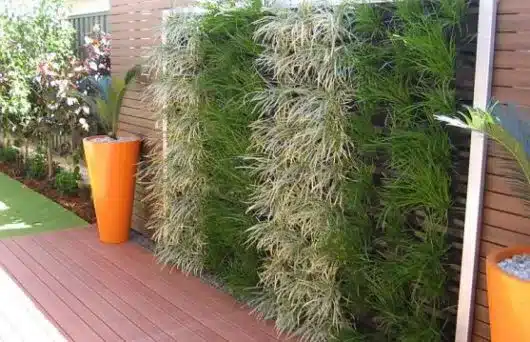 plantas para jardim vertical