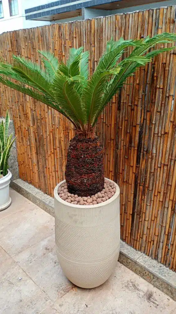 vaso de polietileno