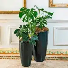 vaso de polietileno