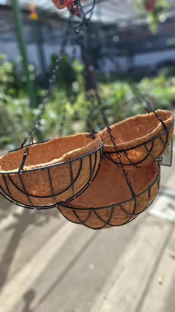 vasos de fibra de coco