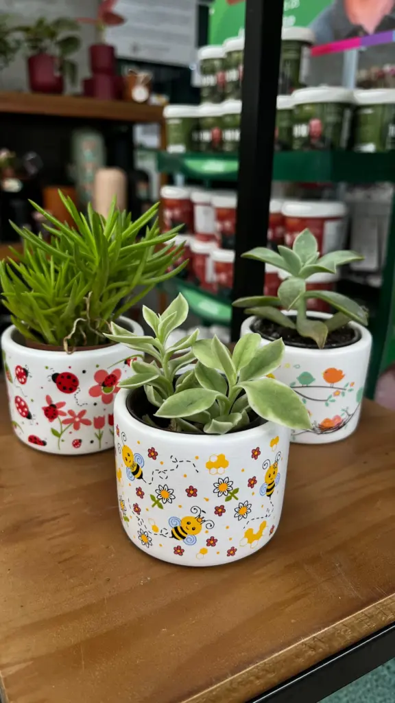 vasos para decoração