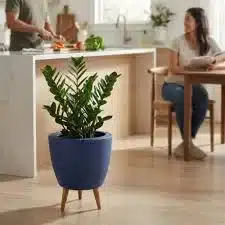 vasos para sala