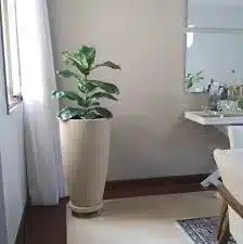 vasos para sala