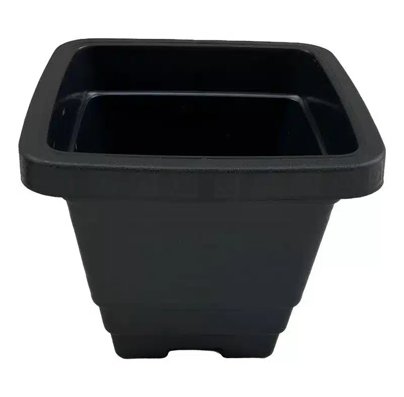 vasos plástico