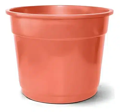 vasos plástico