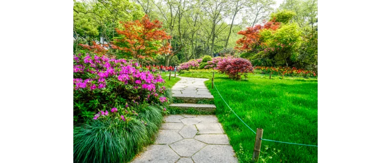jardinagem interna