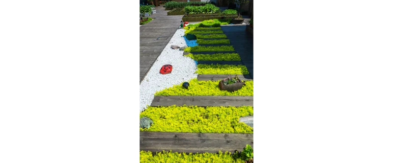 manutenção de jardins