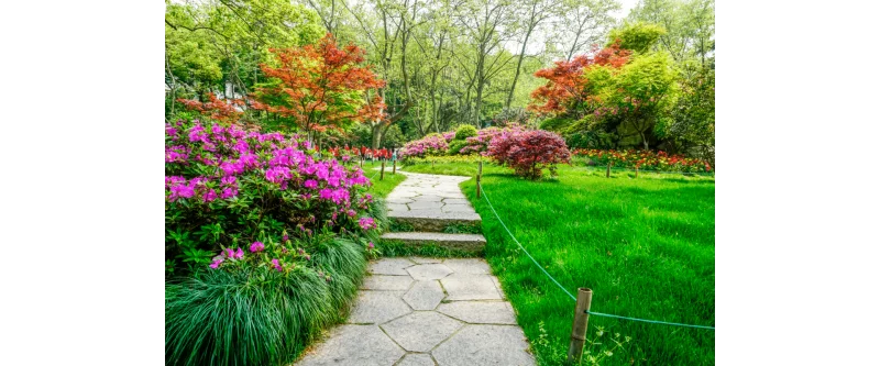 Projetos de Paisagismo