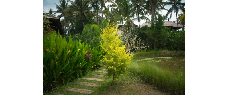 serviço de manutenção de jardim