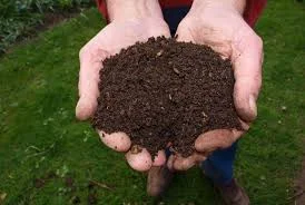 terra vegetal