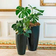 vaso de polietileno