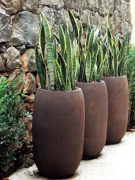 vasos para plantas grandes