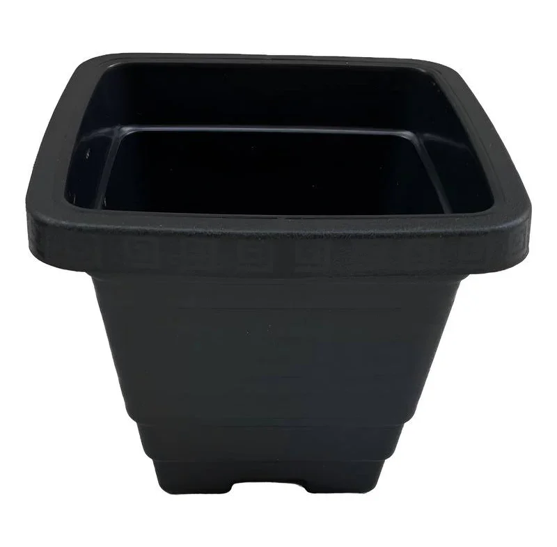 vasos plástico